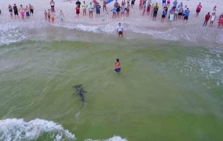 difcil ignorar estas imagens de drones